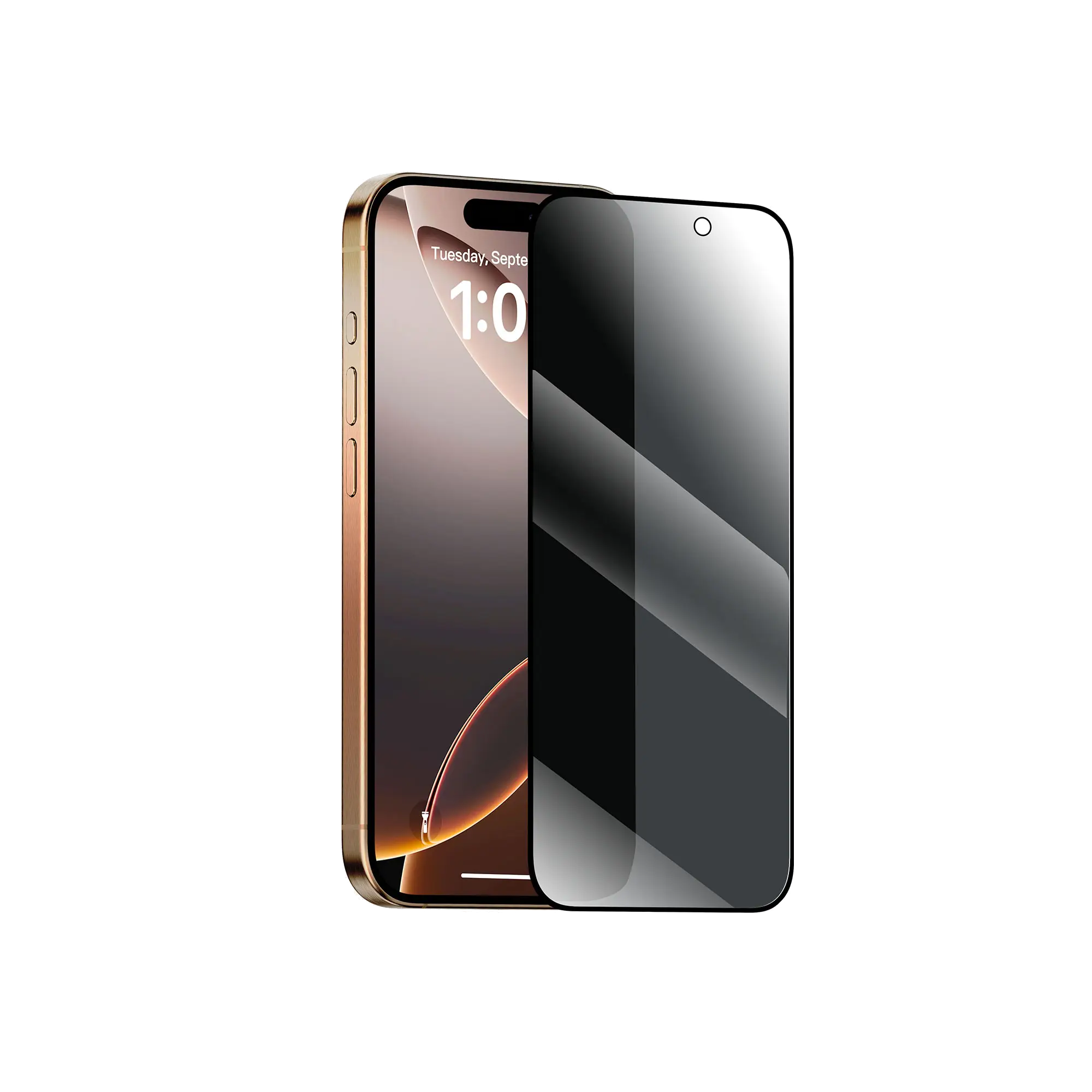 BWOO Privacy Screen Protector for iPhone 16 Pro