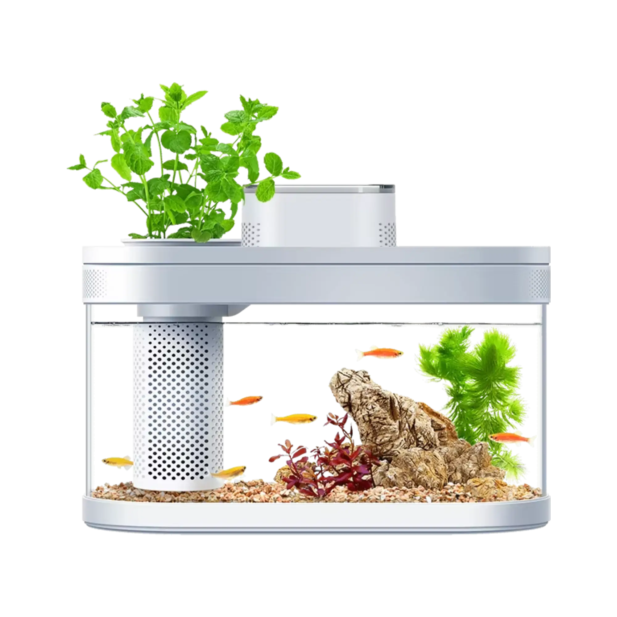 Xiaomi Geometry Ecosystem Small Water Garden Fish Tank Transparent Aquarium Price In Bangladesh