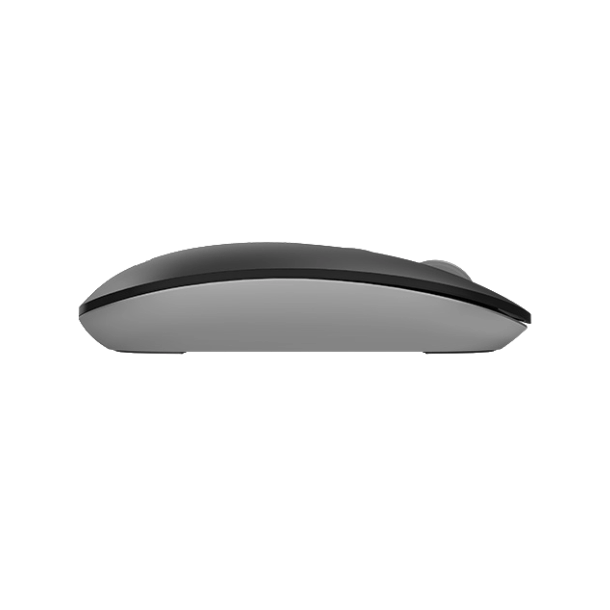 A4Tech Fstyler FG20 Wireless Mouse