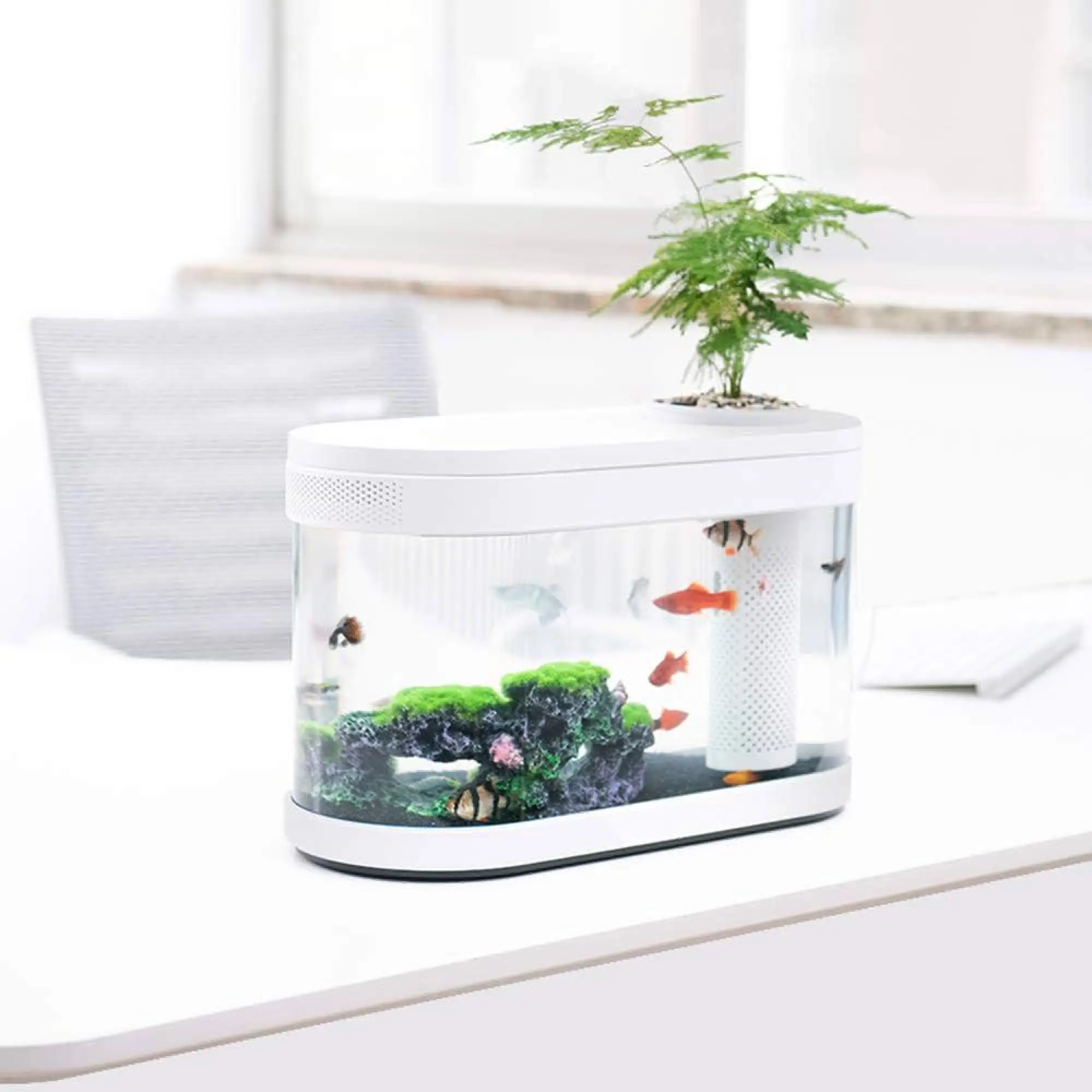 Xiaomi Geometry Ecosystem Small Water Garden Fish Tank Transparent Aquarium