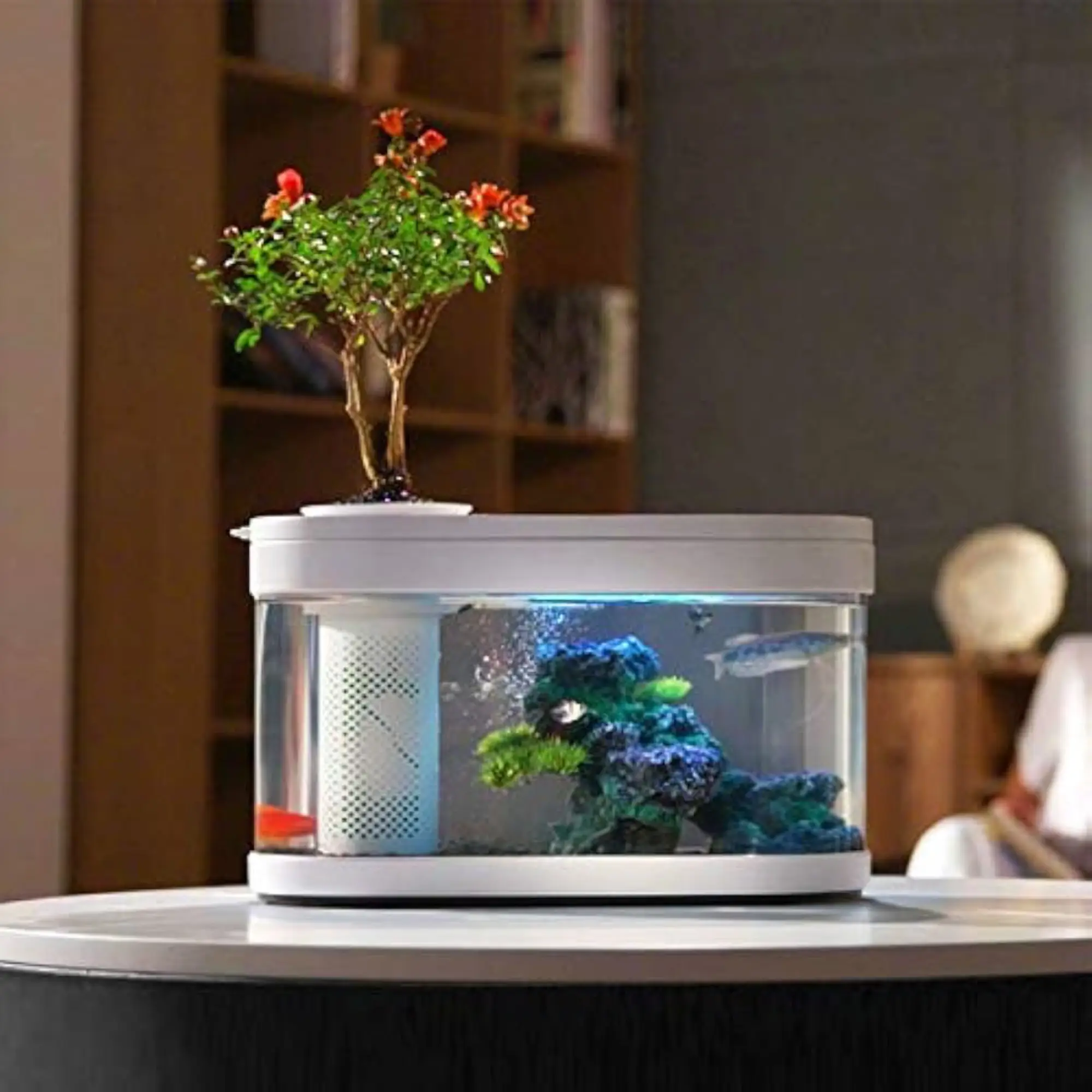 Xiaomi Geometry Ecosystem Small Water Garden Fish Tank Transparent Aquarium