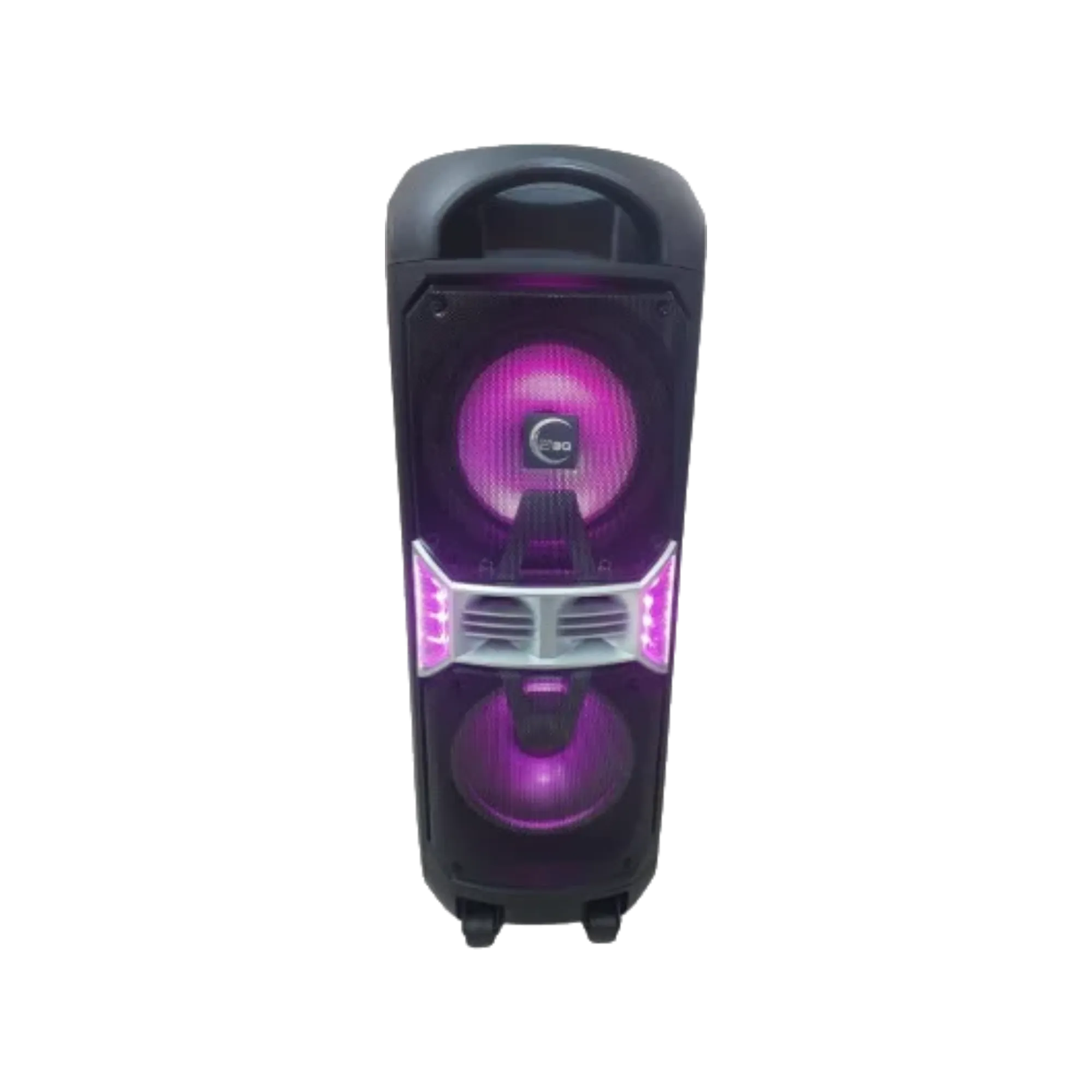 BBQ GS1021 800W Party Sound System 